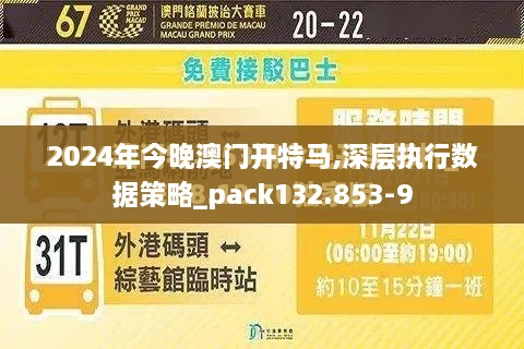 2024年今晚澳门开特马,深层执行数据策略_pack132.853-9