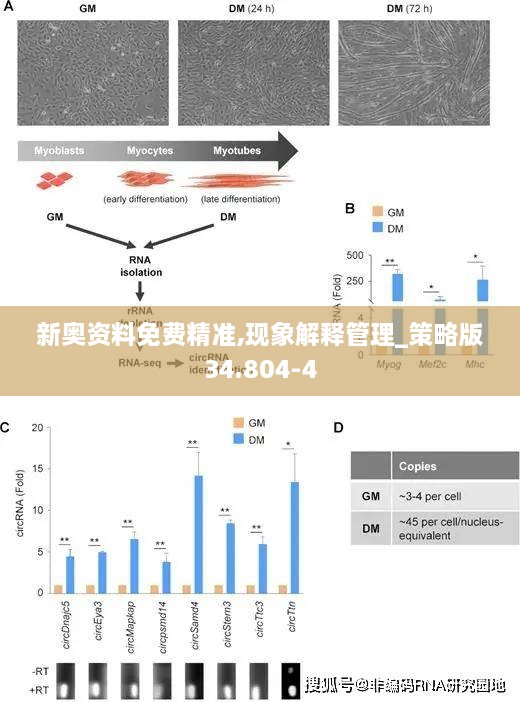 新奥资料免费精准,现象解释管理_策略版34.804-4