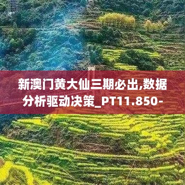 新澳门黄大仙三期必出,数据分析驱动决策_PT11.850-7