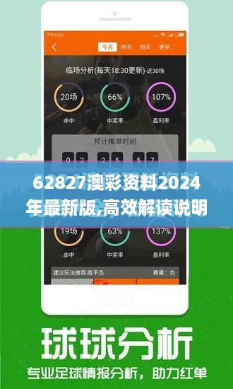 62827澳彩资料2024年最新版,高效解读说明_交互版52.872-7