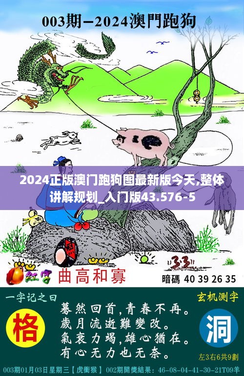 2024正版澳门跑狗图最新版今天,整体讲解规划_入门版43.576-5