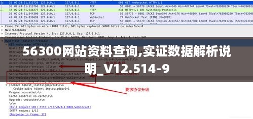 56300网站资料查询,实证数据解析说明_V12.514-9