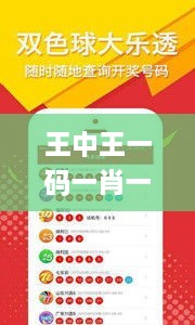 王中王一码一肖一特一中2024年,灵活设计操作方案_挑战款121.451-2