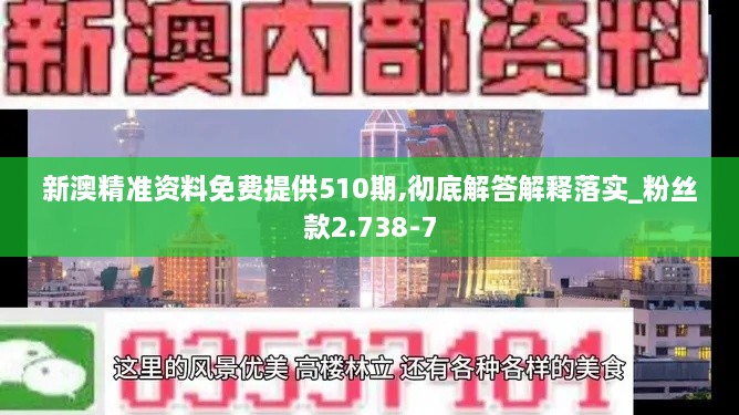 新澳精准资料免费提供510期,彻底解答解释落实_粉丝款2.738-7