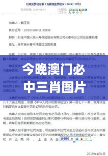 今晚澳门必中三肖图片,高效解答解释定义_Advance61.208-1