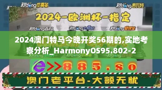 2024澳门特马今晚开奖56期的,实地考察分析_HarmonyOS95.802-2