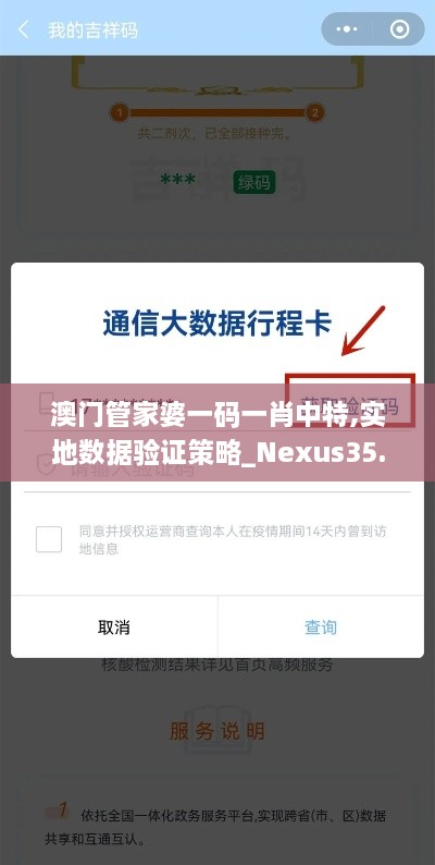澳门管家婆一码一肖中特,实地数据验证策略_Nexus35.935-3