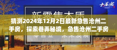 探索巷弄秘境，揭秘沧州二手房市场特色小店之隐藏魅力——最新急售沧州二手房预测（2024年12月2日）