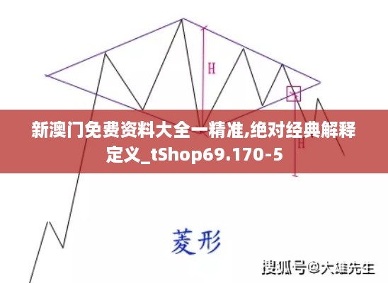 新澳门免费资料大全一精准,绝对经典解释定义_tShop69.170-5