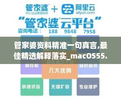 管家婆资料精准一句真言,最佳精选解释落实_macOS55.880-2