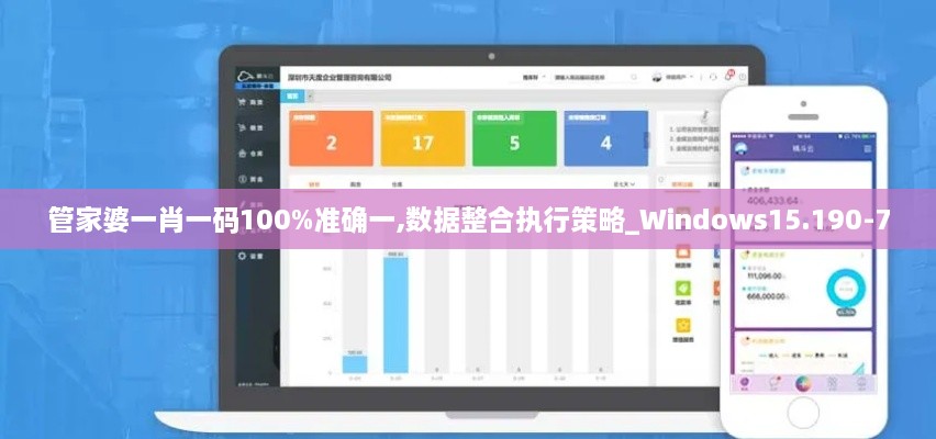 管家婆一肖一码100%准确一,数据整合执行策略_Windows15.190-7