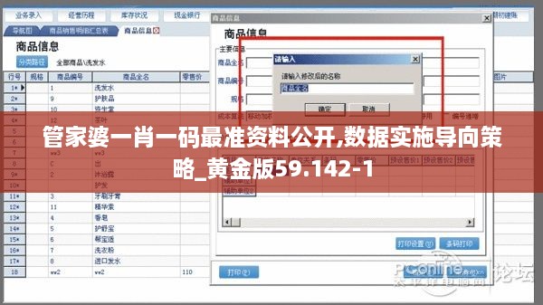 管家婆一肖一码最准资料公开,数据实施导向策略_黄金版59.142-1