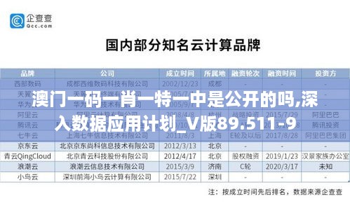 澳门一码一肖一特一中是公开的吗,深入数据应用计划_V版89.511-9