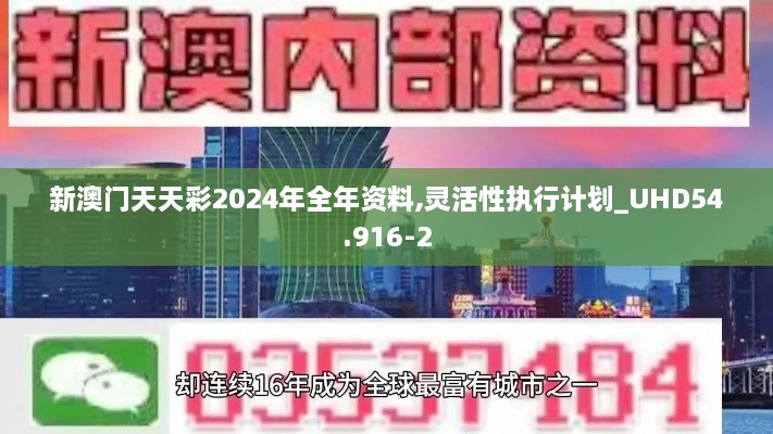 新澳门天天彩2024年全年资料,灵活性执行计划_UHD54.916-2