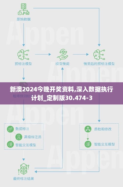 新澳2024今晚开奖资料,深入数据执行计划_定制版30.474-3