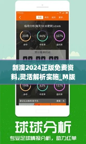 新澳2024正版免费资料,灵活解析实施_M版32.610-5