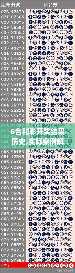 6合和彩开奖结果历史,实际案例解释定义_7DM186.745-7