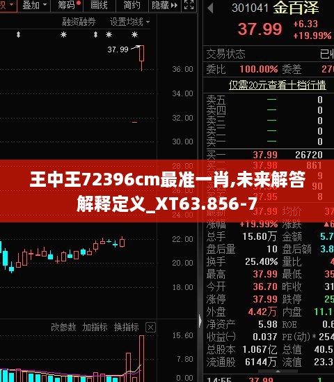 王中王72396cm最准一肖,未来解答解释定义_XT63.856-7