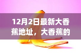 大香蕉的新地址，启示自信与成就感的变革力量