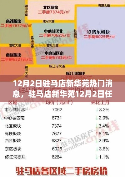 驻马店新华苑12月2日任务指南，掌握实用技能，关注热门消息