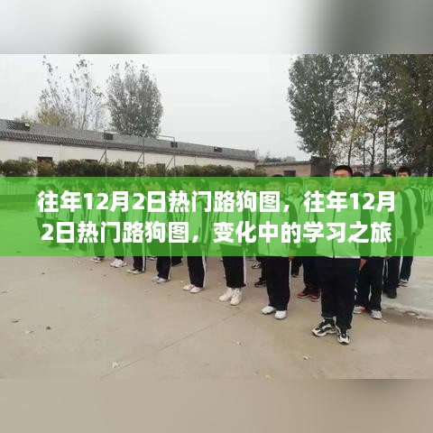 往年12月2日热门路狗图，学习之旅中的自信之光闪耀与变化中的历程回顾