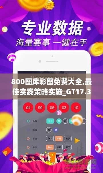 800图库彩图免费大全,最佳实践策略实施_GT17.310-7