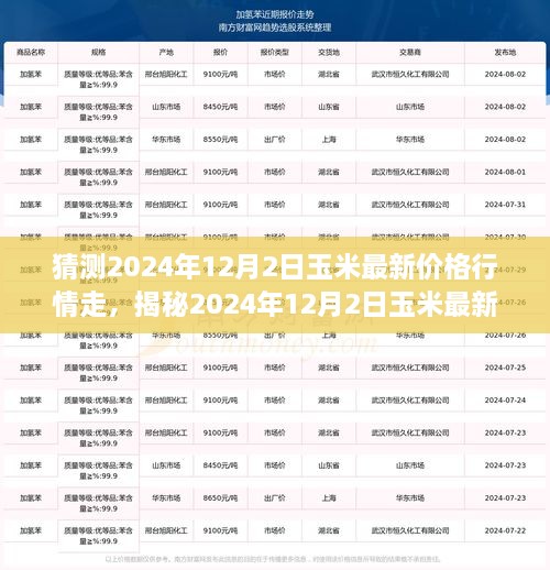 揭秘未来行情走势，2024年玉米最新价格行情深度分析与预测报告（附日期）