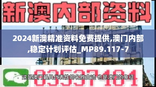 2024新澳精准资料免费提供,澳门内部,稳定计划评估_MP89.117-7