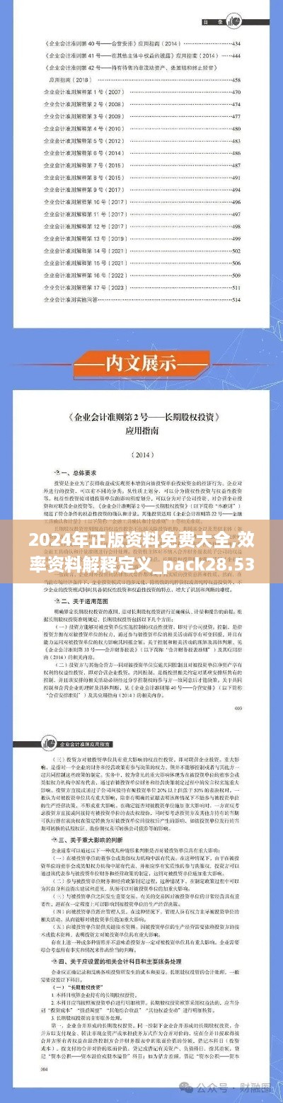 2024年正版资料免费大全,效率资料解释定义_pack28.532-9