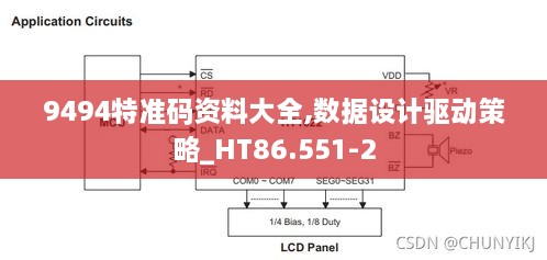 9494特准码资料大全,数据设计驱动策略_HT86.551-2