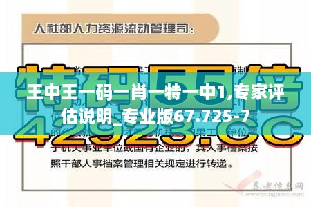 王中王一码一肖一特一中1,专家评估说明_专业版67.725-7