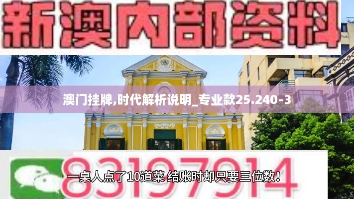 澳门挂牌,时代解析说明_专业款25.240-3