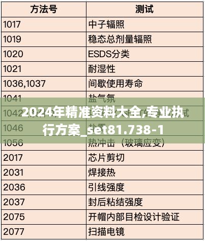 2024年精准资料大全,专业执行方案_set81.738-1