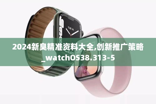 2024新臭精准资料大全,创新推广策略_watchOS38.313-5