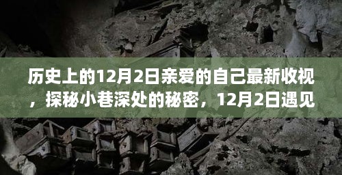 探秘小巷深处的秘密，12月2日特色小店之旅与最新收视