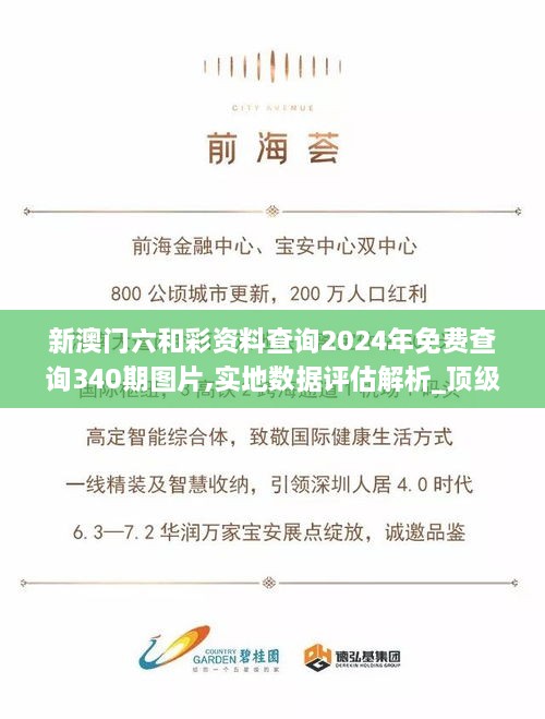 新澳门六和彩资料查询2024年免费查询340期图片,实地数据评估解析_顶级版41.723-1