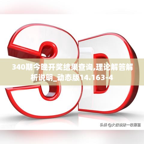 340期今晚开奖结果查询,理论解答解析说明_动态版14.163-4