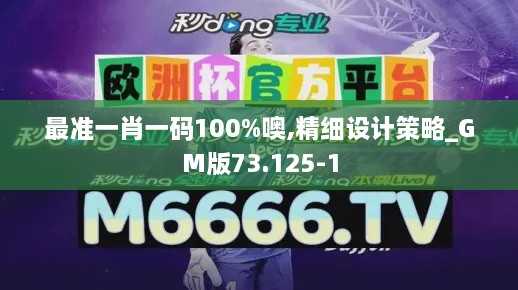 最准一肖一码100%噢,精细设计策略_GM版73.125-1