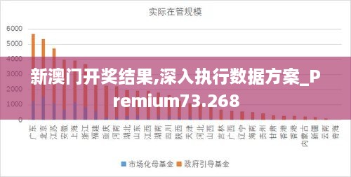 新澳门开奖结果,深入执行数据方案_Premium73.268