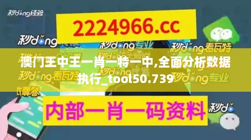 澳门王中王一肖一特一中,全面分析数据执行_tool50.739