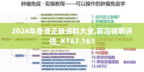 2024年香港正版资料大全,前沿说明评估_XT87.163