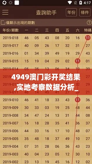 4949澳门彩开奖结果,实地考察数据分析_进阶版94.202