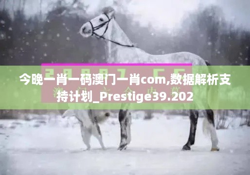 今晚一肖一码澳门一肖com,数据解析支持计划_Prestige39.202