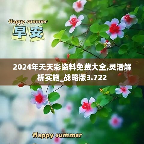 2024年天天彩资料免费大全,灵活解析实施_战略版3.722