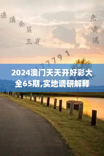 2024澳门天天开好彩大全65期,实地调研解释定义_云端版52.365