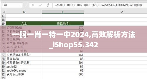 一码一肖一特一中2024,高效解析方法_iShop55.342