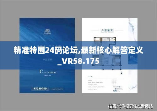 精准特围24码论坛,最新核心解答定义_VR58.175