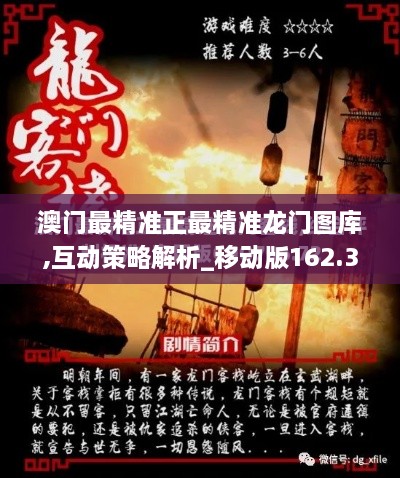 澳门最精准正最精准龙门图库,互动策略解析_移动版162.302