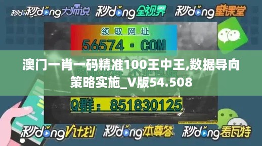 澳门一肖一码精准100王中王,数据导向策略实施_V版54.508