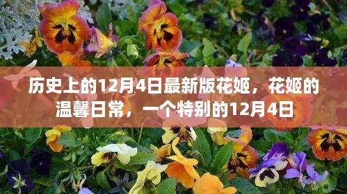 花姬的温馨日常，特别篇之12月4日